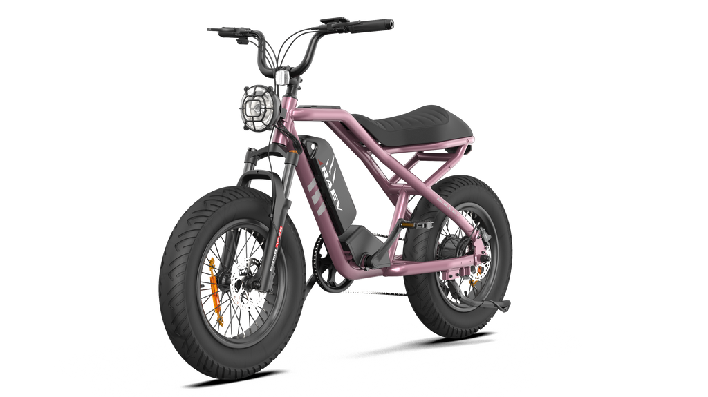 RAEV Bullet V2 Electric Bicycle