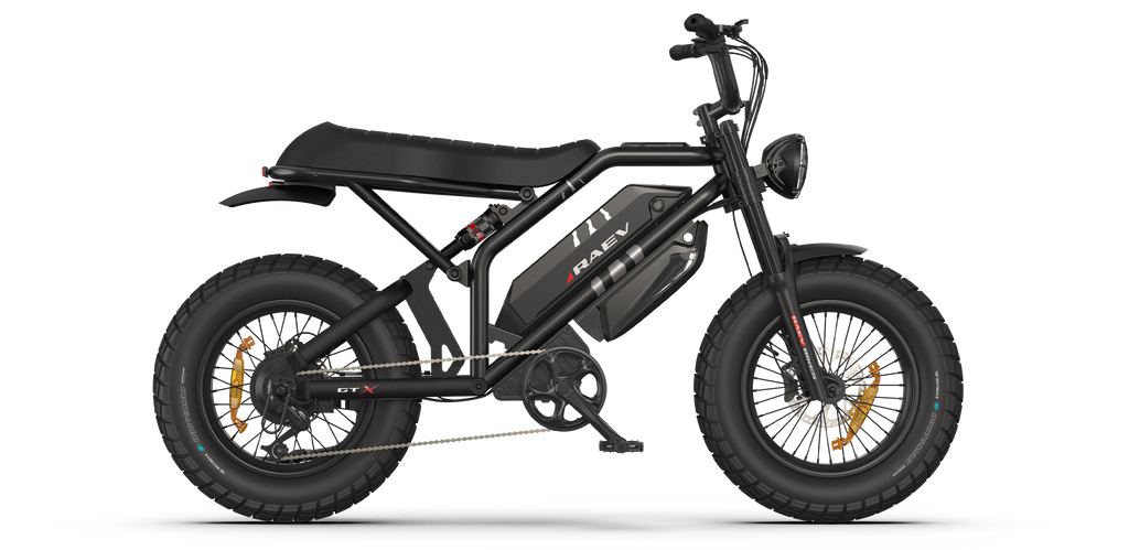RAEV Bullet GTX Electric Bicycle