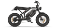RAEV Bullet GTX Electric Bicycle