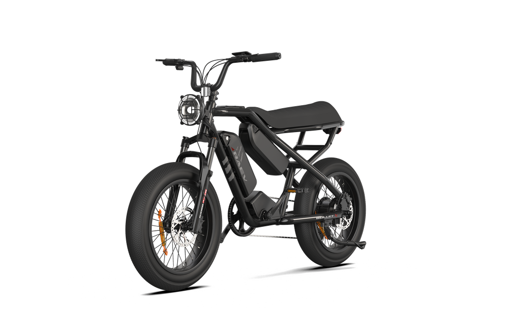 RAEV Bullet X /XF V2 Electric Bicycle