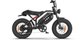 RAEV Bullet GT V2 Electric Bicycle