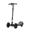 ES1353 450W Three-Wheel Electric Scooter